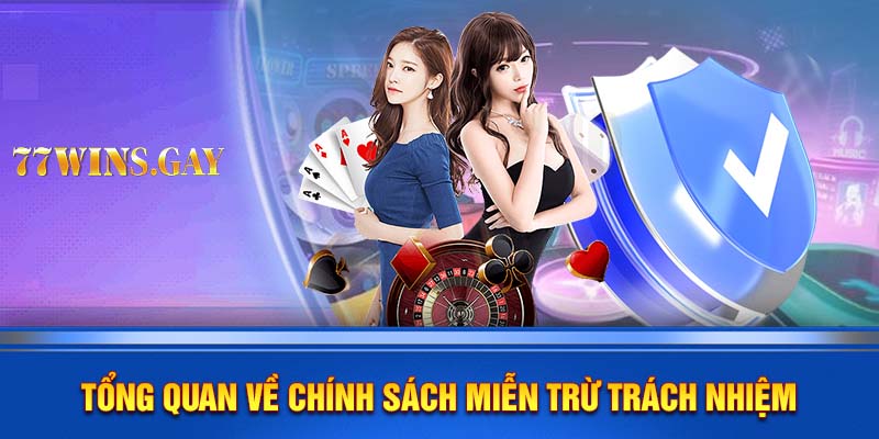 Tổng quan về chính sách miễn trừ trách nhiệm