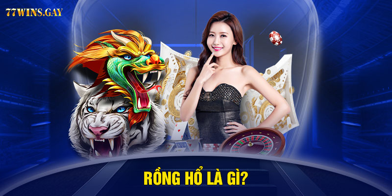 Rồng Hổ là gì?