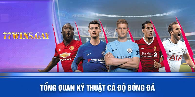 Tổng quan kỹ thuật cá độ bóng đá 