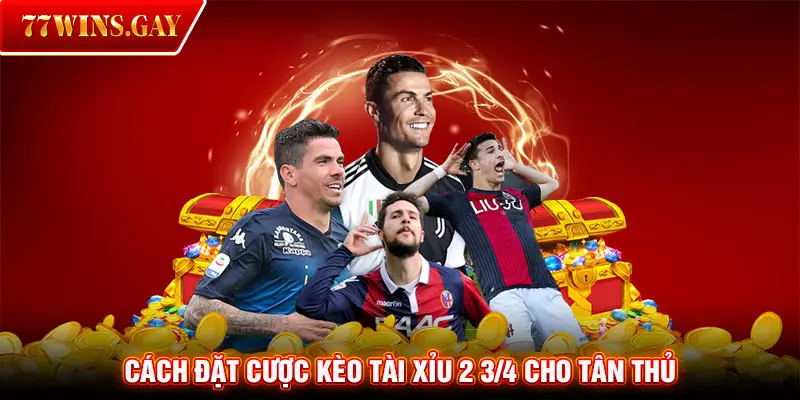 Cách đặt cược kèo tài xỉu 2 3/4 cho tân thủ