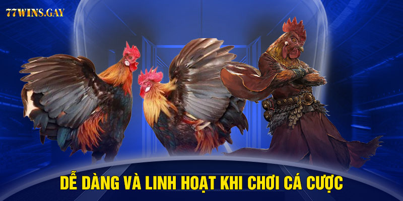 Dễ dàng và linh hoạt khi chơi cá cược