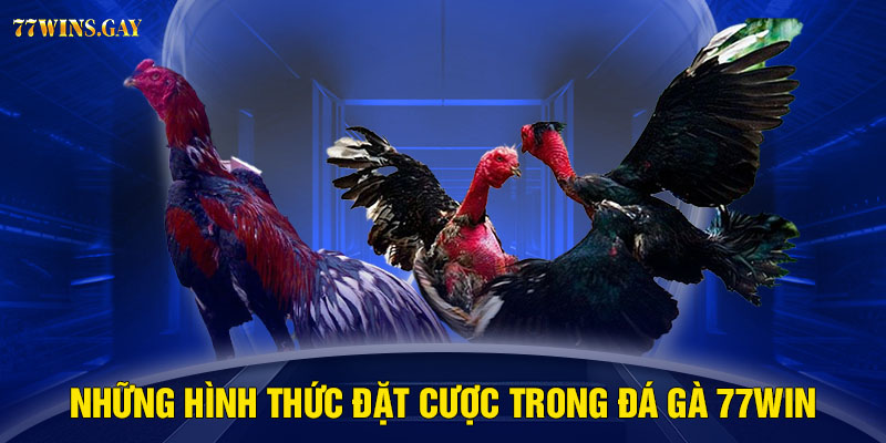 Những hình thức đặt cược trong đá gà 77WIN