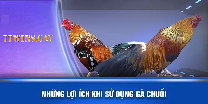 Những lợi ích khi sử dụng gà chuối