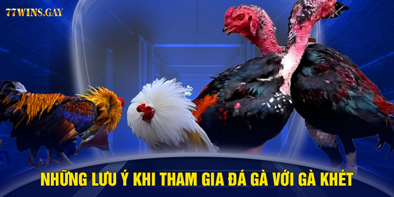 Những lưu ý khi tham gia đá gà với gà khét